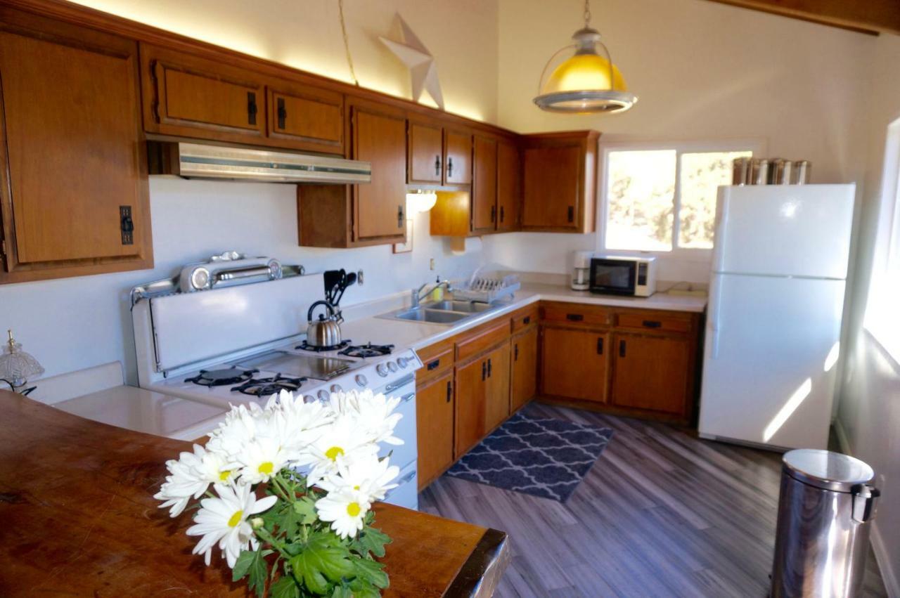 @Silvertipcabin Big Bear Lake Bagian luar foto